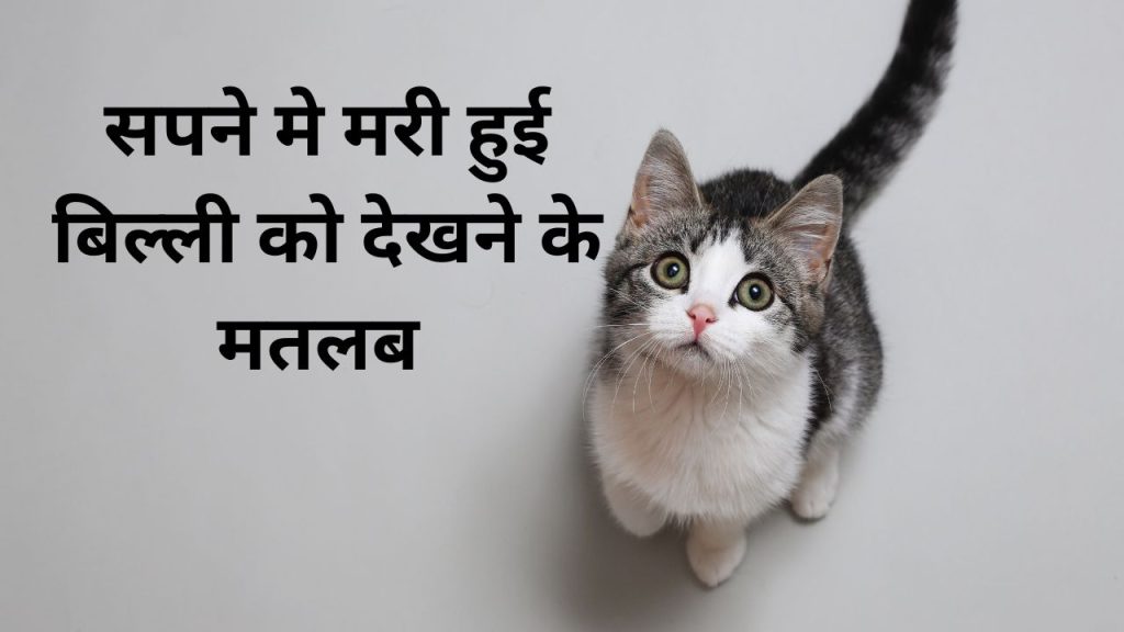 sapne mein mari billi dekhne ka matlab