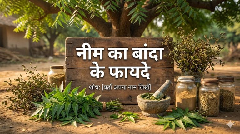 neem ka banda kya hota hai नीम के बांदा के कमाल के फायदे जानें